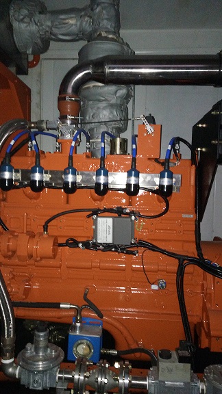 100 kW CHP Plant at Padua &mdash; Italy